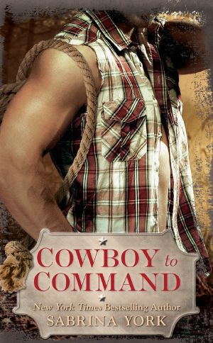 [Stripped Down 02] • Cowboy to Command